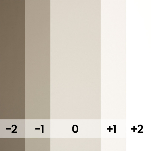 FOND PAPIER N�127 SILVER GREY 2.75 X 11M- ARRET- RECOMMANDE 106 - 2