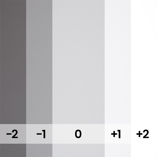 FOND PAPIER N�150 STEEL GRAY 2.75 X 11M-ARRET-RECOMMANDE 170 - 2