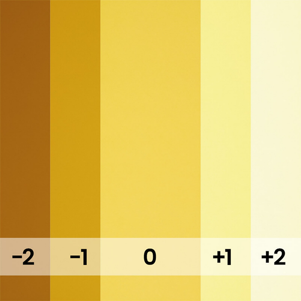 FOND PAPIER N�169 MARIGOLD 2.75 X 11M - 2