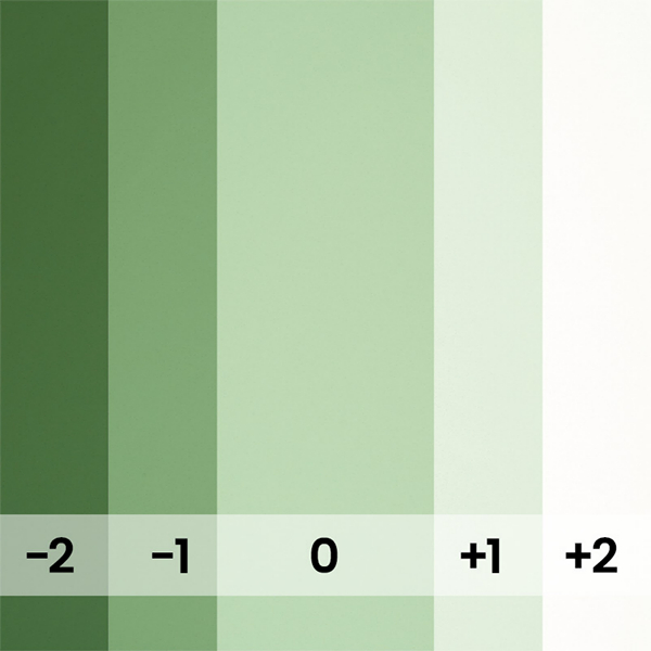 FOND PAPIER N�174 SPRING GREEN 2.75 X 11M - 2