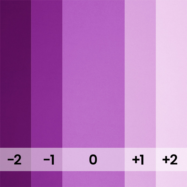 FOND PAPIER N�191 BOYSENBERRY 2.75 X 11M - 2