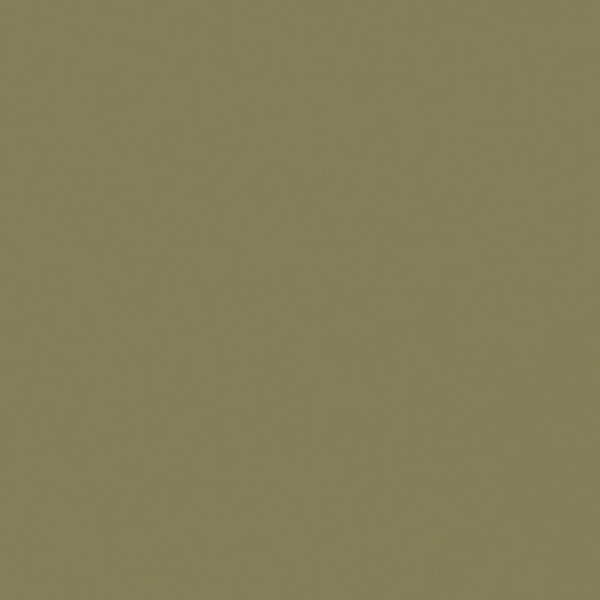 FOND PAPIER N�234 CACTUS 2.75M X 11M - 2