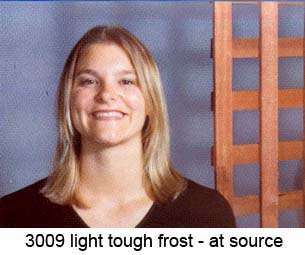 LIGHT TOUGH FROST Rouleau (1.22 x 7.62)