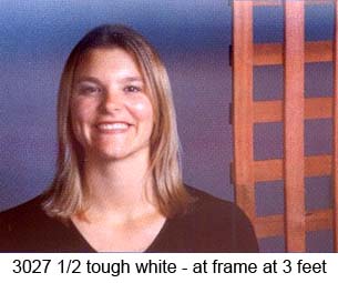 TOUGH 1/2 WHITE DIFFUSION Rouleau (1.22 x 7.62)