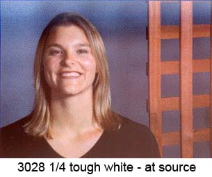 TOUGH 1/4 WHITE DIFFUSION Rouleau (1.22 x 7.62)