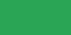 MOSS GREEN Rouleau