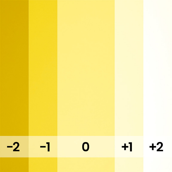 FOND PAPIER N�107 DAF-FO-OIL 1.35 M X 11 M - 3