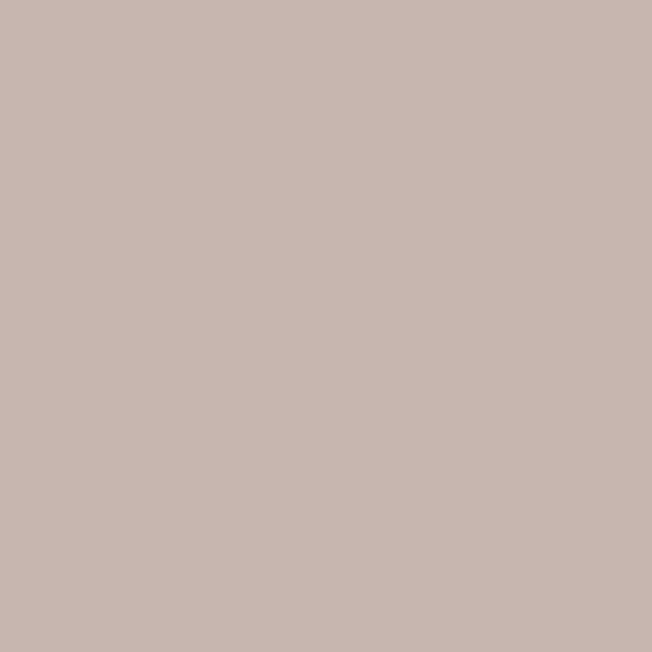 FOND PAPIER N�123 PURSUIT GRAY 1.35 M X 11 M - 3