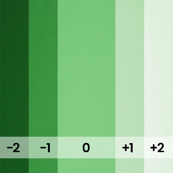 FOND PAPIER N�132 VERI GREEN 2,75 X 11M (remplace FOTO GREEN 162) - 4