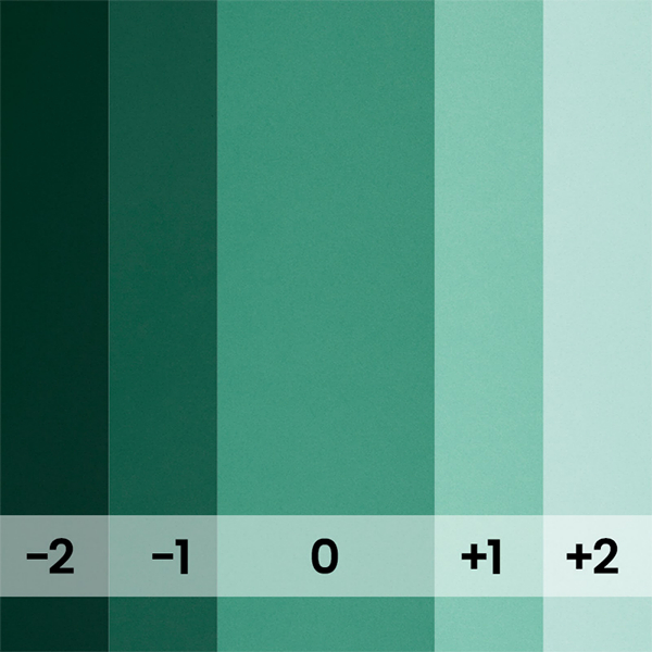 FOND PAPIER N�137 JADE 1.35 M X 11 M - 3