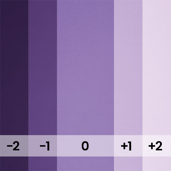 FOND PAPIER N�154 PURPLE 1.35 M X 11 M - 3