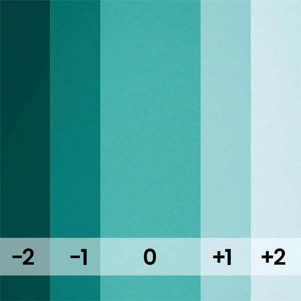 FOND PAPIER N�157 TEAL 1.35 M X 11 M - 3