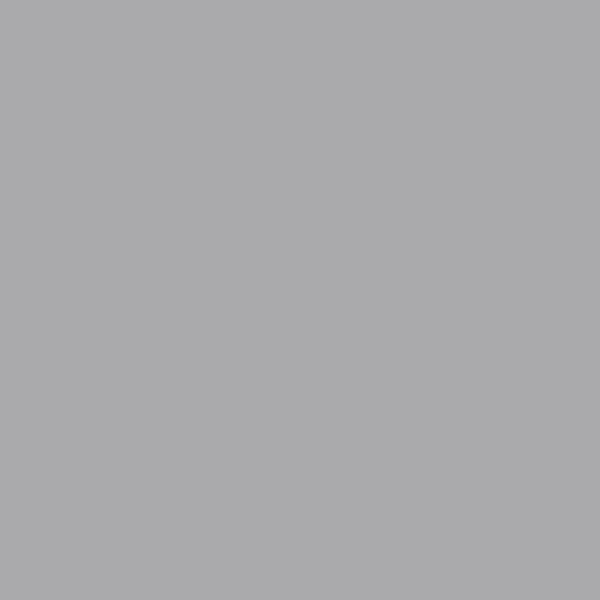 FOND PAPIER N�170 STONE GRAY 1.35 X 11M - 2