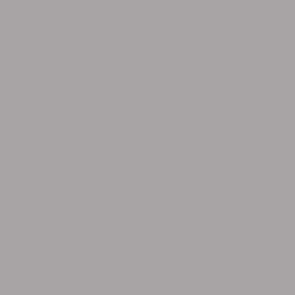 FOND PAPIER N�172 DARK GRAY 2.75 X 11M - 3
