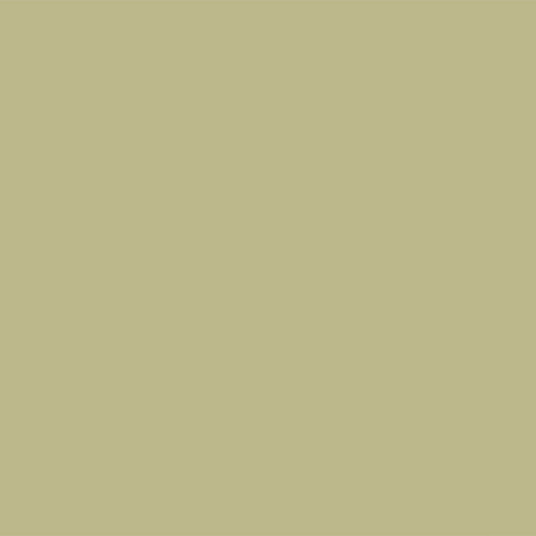 FOND PAPIER N�223 PISTACHIO 2.75M X 11 M - 2