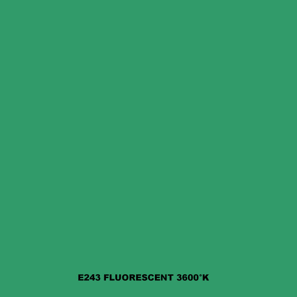 FLUORESCENT 3600�K Feuille